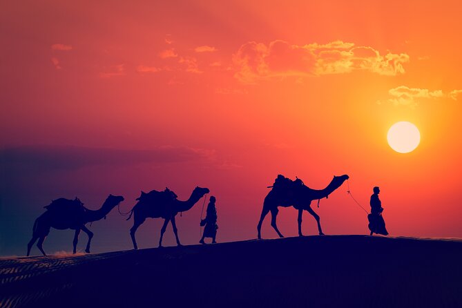 Best of Wadi Rum | Full day Jeep tour + Sleep under the stars | Pack all-in - Food, water, and the value of the $115.15 price