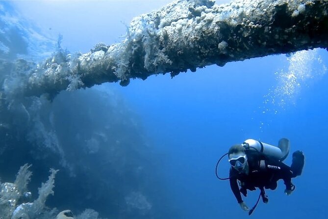 Boat Dive 2 Guided Dives with Lunch Included wreck dive&reef dive - What the Aqaba boat day includes