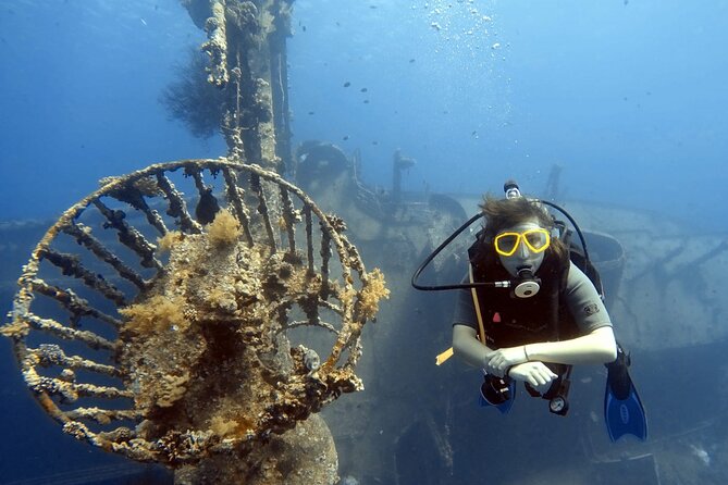 Boat Dive 2 Guided Dives with Lunch Included wreck dive&reef dive - Why the $170 price may be good value