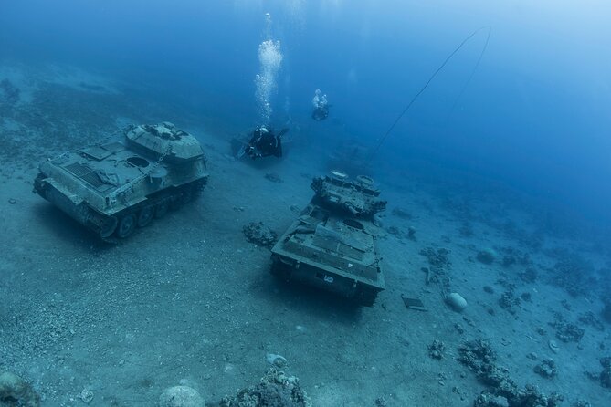 Boat Dive and Snorkeling Experience in Aqaba - Lunch turns the outing into a full half-day