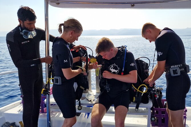 Boat Dive and Snorkeling Experience in Aqaba - Coral, fish, and wrecks below the surface