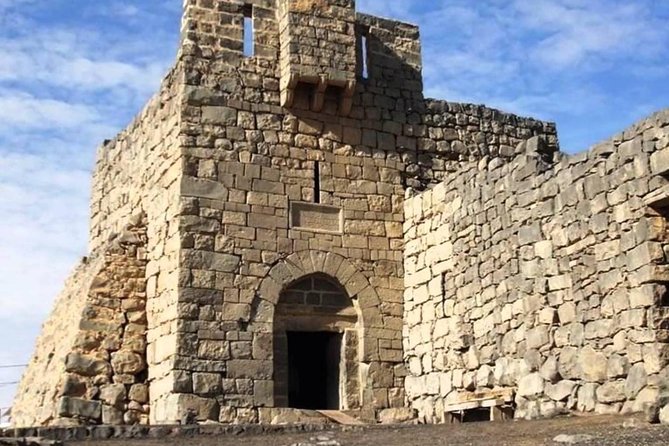 Day Tour Desert Castles & Azraq Wetland Reserve - Quseir Amra and the art inside the desert