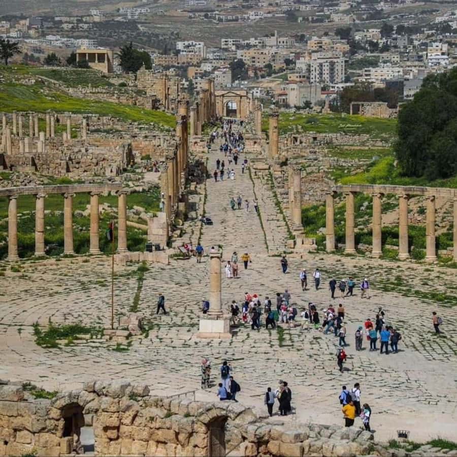 Day Tour Jerash - Ajloun and Um Qais From Amman - Ajloun Castle: a medieval pause after Rome
