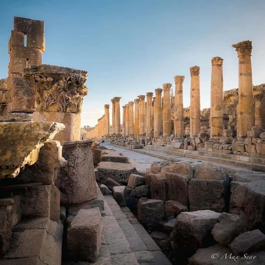 Day Tour Jerash - Ajloun and Um Qais From Amman - Price, timing, and what the $43 covers