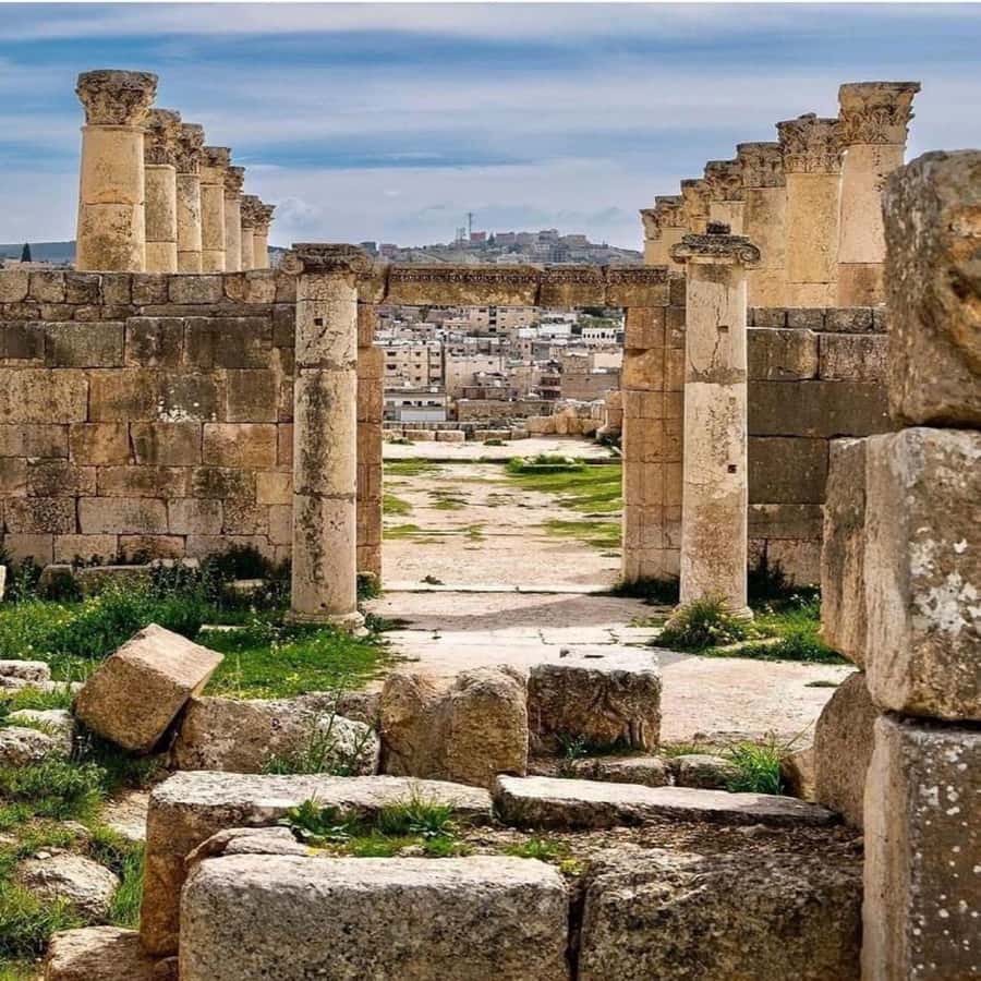 Day Tour Jerash - Ajloun and Um Qais From Amman - Who should choose each version?