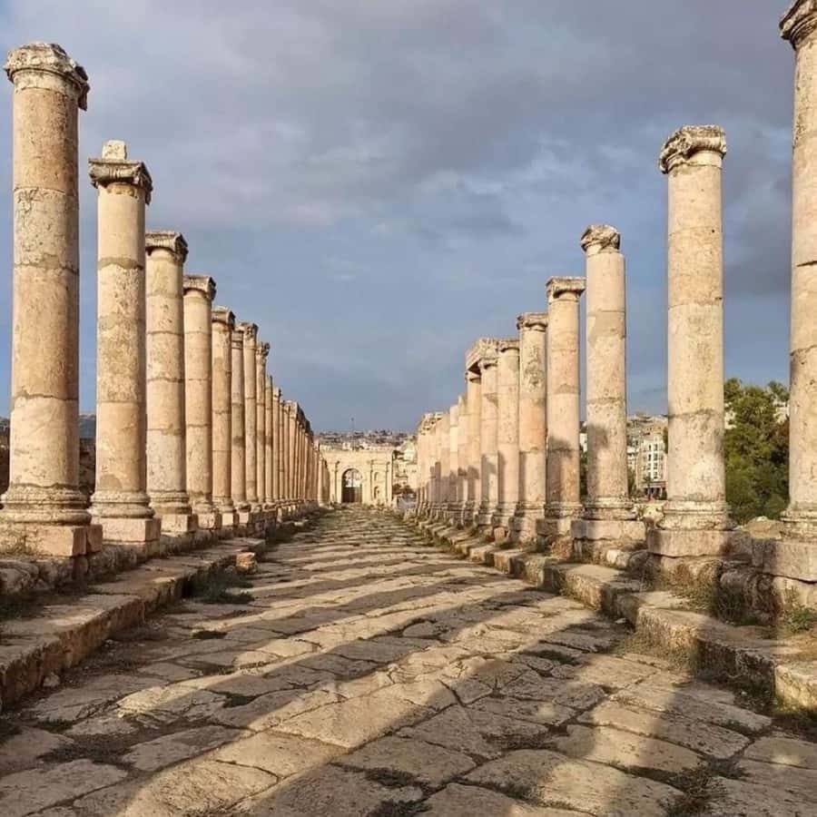Day Tour Jerash and Amman City Tour From Amman - Who will get the most from this tour