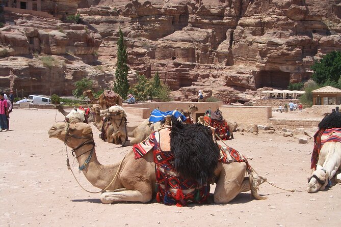 Day Tour to Petra from Dead Sea with lunch - Why a Dead Sea to Petra day trip can make sense