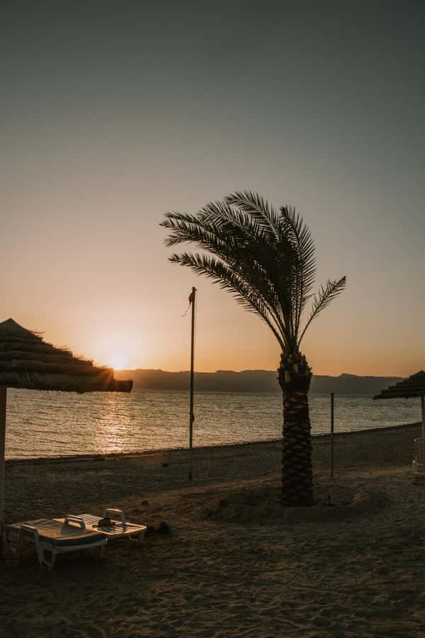 Discover Aqaba in Style: A 3-h City Tour by Car with meal - The food stop is more than a box lunch