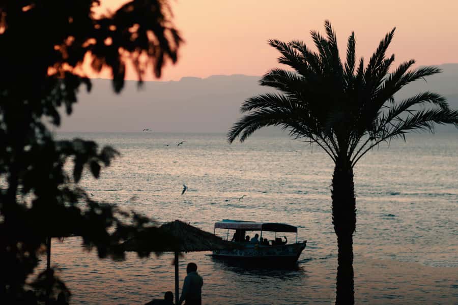 Discover Aqaba in Style: A 3-h City Tour by Car with meal - What the three-hour timing really allows