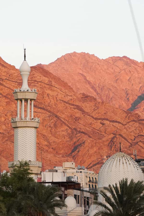 Discover Aqaba in Style: A 3-h City Tour by Car with meal - The $36 price and what you receive