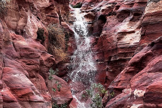 Discover Petra Hidden Gems - Starting at the Petra Visitor Center