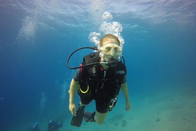 Discover the Depths: Aqaba's Ultimate private Dive Experience - Key points to know before you book