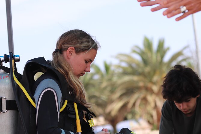Discover the Depths: Aqaba's Ultimate private Dive Experience - What happens at Scuba haniS Beach Hwy