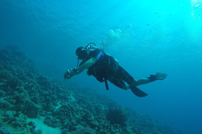 DSD "Discover Scuba Diving" (Min Age 10 Years) - A six-hour day with a shorter water program