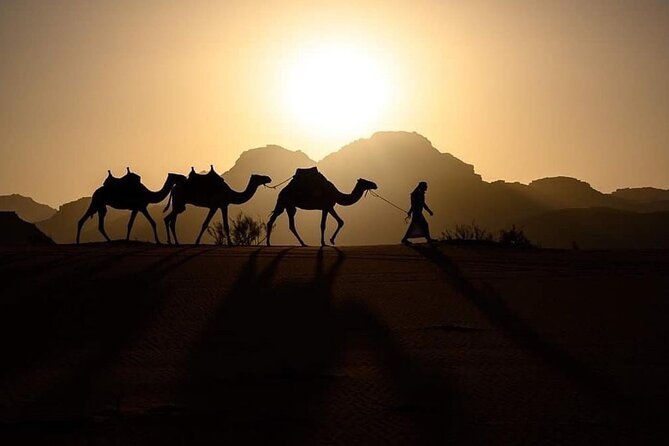 Elite Transfers : Queen Alia Airport to Any Destination in Jordan - Key points to know before booking
