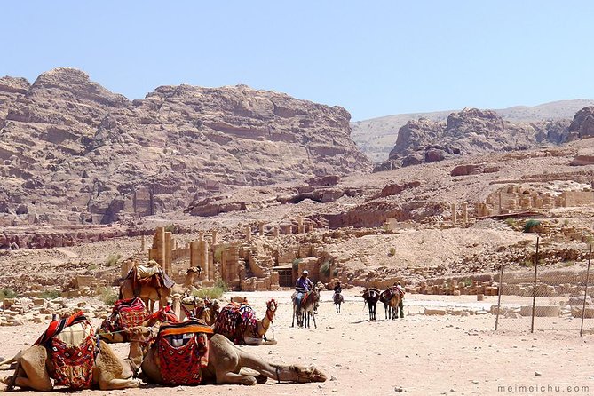 Experience Petra & Wadi Rum in One Day From Amman - Comfort, group size, and what to bring