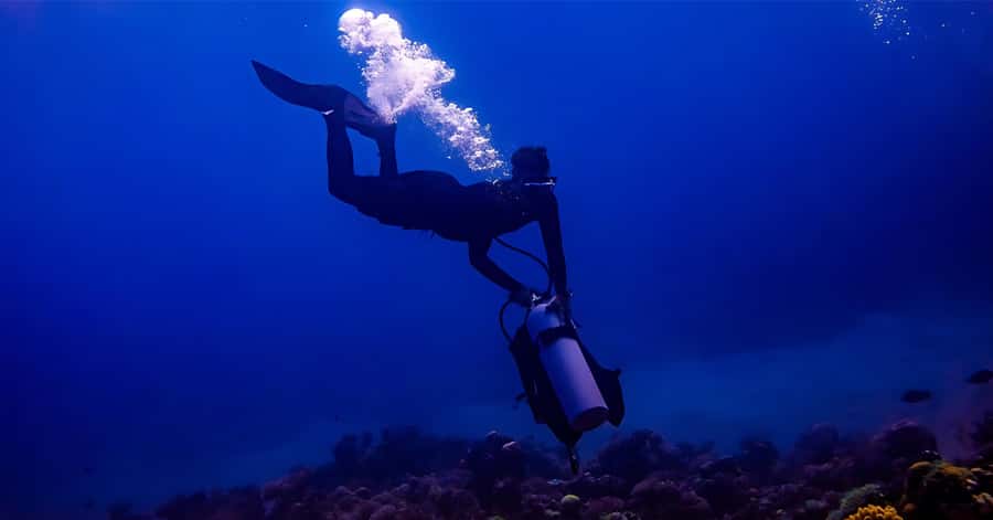 Explore Aqaba's Depths: Scuba Diving Tour, with Hotel Pickup - Why Aqaba makes a good first scuba outing