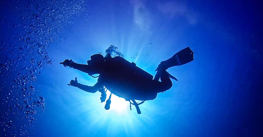 Explore Aqaba's Depths: Scuba Diving Tour, with Hotel Pickup - The 15-minute safety briefing comes first
