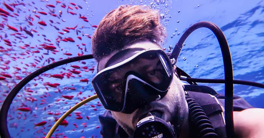 Explore Aqaba's Depths: Scuba Diving Tour, with Hotel Pickup - What the $66 price really includes