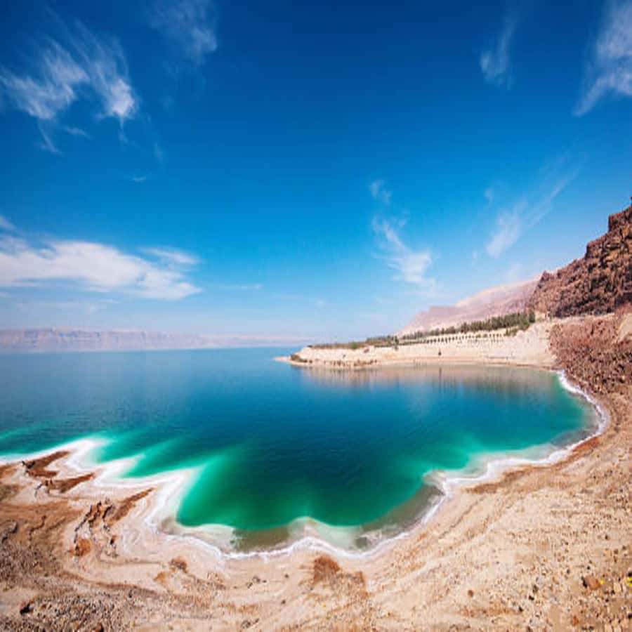 Explore the Dead Sea on a Half-Day Tour From Amman - Key points to know before you book