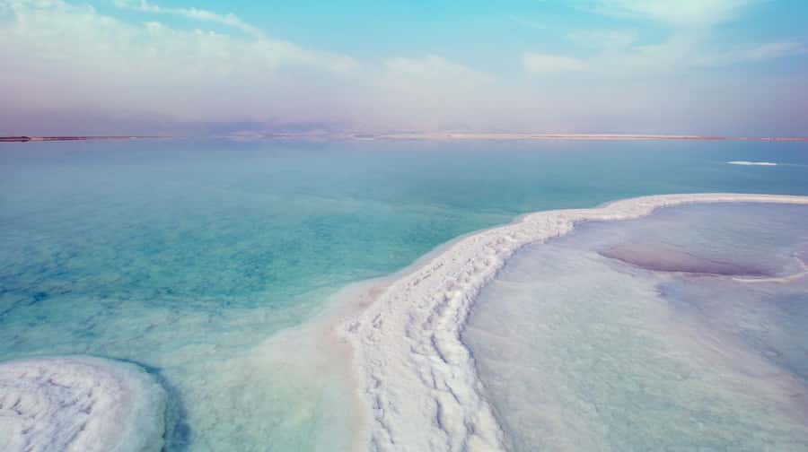 Explore the Dead Sea on a Half-Day Tour From Amman - Floating in water that feels almost unreal
