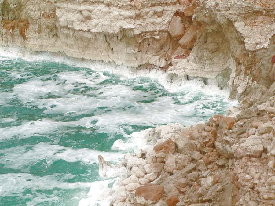 From Amman: 5-Hour Dead Sea Experience with Lunch & Return - Floating in water ten times saltier than seawater