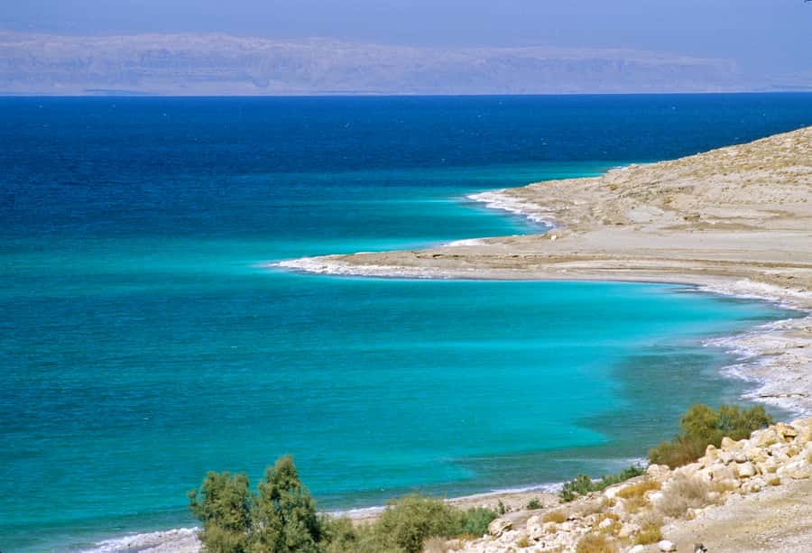 From Amman: 5-Hour Dead Sea Experience with Lunch & Return - Trying the famous mineral mud