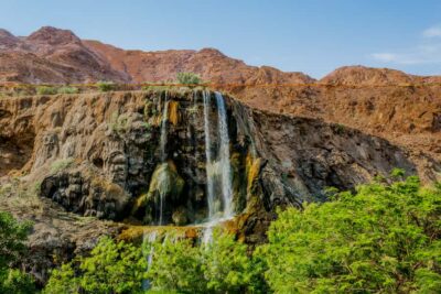 From Amman/Dead Sea: Half day tour to Ma’in Hot Springs