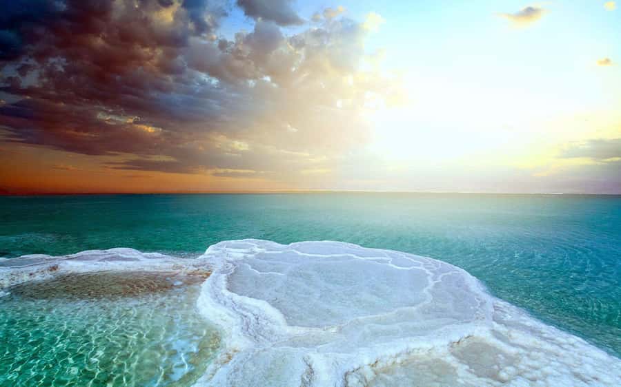 From Amman: Dead Sea, Mt Nebo, Madaba, Baptism full day trip - Who should book this Jordan day trip