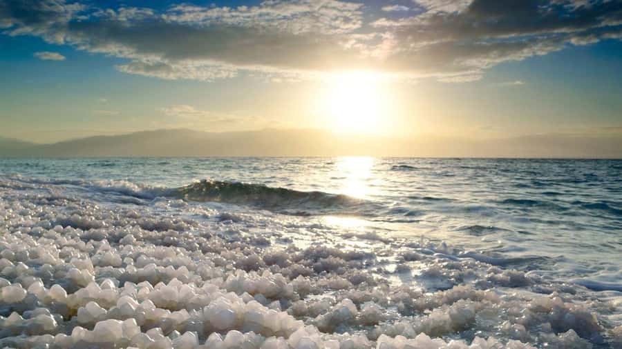 From Amman: Dead Sea, Mt Nebo, Madaba, Baptism full day trip - What the $74 price really covers