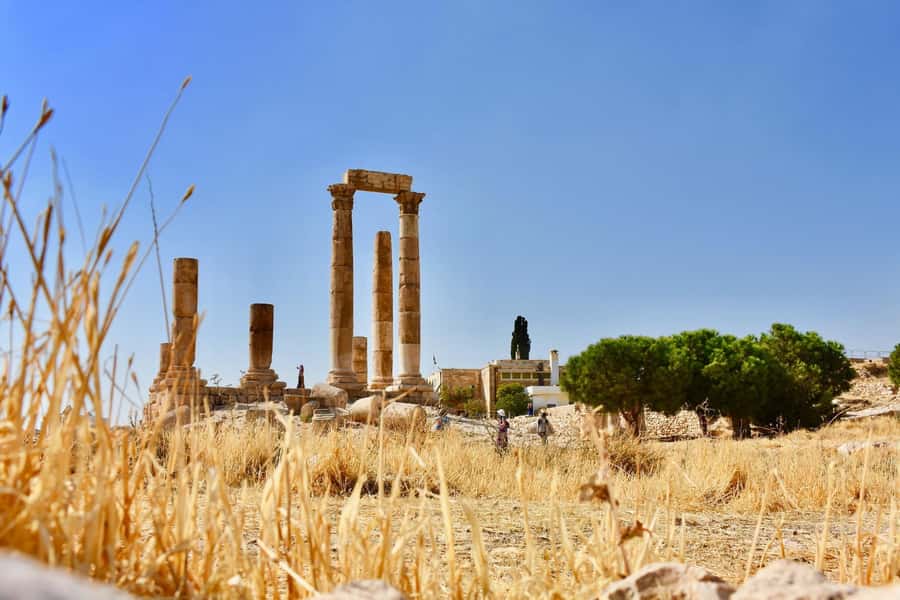 From Amman: Full day Jerash and Amman city Tour - The driver makes more difference than the vehicle