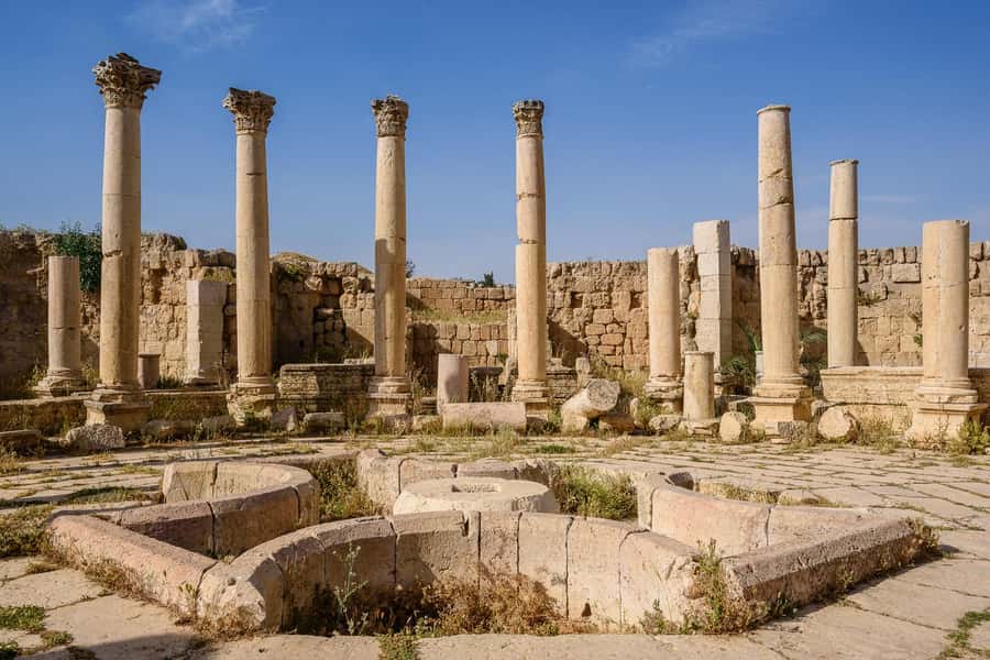 From Amman : Full day tour - Jerash and the Dead sea. - Why this makes sense from Amman