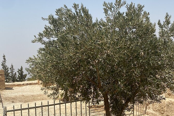 From Amman: Group Day Tour Madaba Mount Nebo & Dead Sea to Amman - Mount Nebo and the Memorial Church of Moses