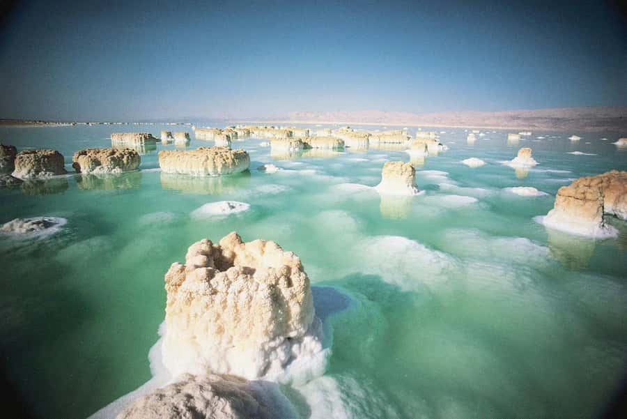 From Amman : Half-day tour to Dead sea and Crystal beach - How the seven-hour schedule feels