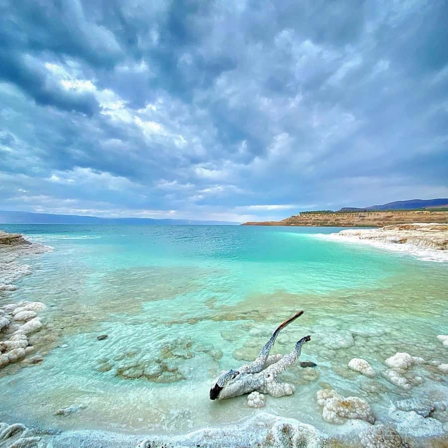 From Amman: Half-Day Tour to Dead Sea - Leaving Amman in a private car
