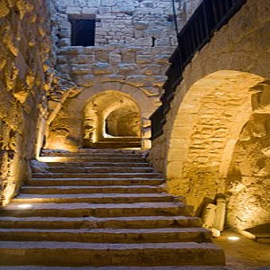 From Amman: Jerash &Ajloun &Um Qais Private Tour - Key points to know before booking