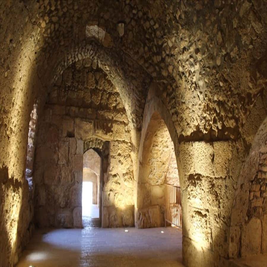 From Amman: Jerash &Ajloun &Um Qais Private Tour - What this northern Jordan day trip really includes