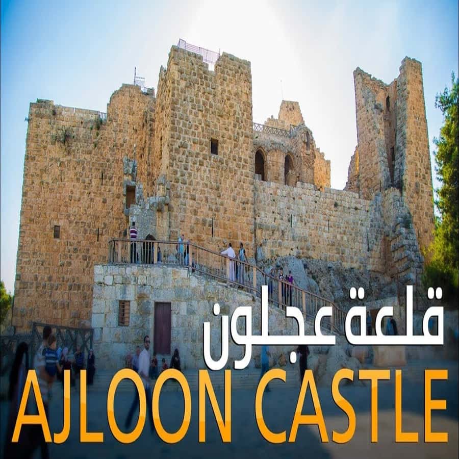 From Amman: Jerash &Ajloun &Um Qais Private Tour - Jerash, where Roman streets still shape the visit