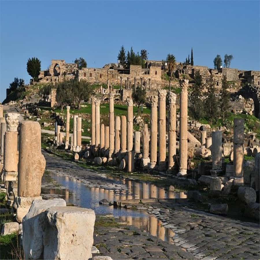 From Amman: Jerash &Ajloun &Um Qais Private Tour - Ajloun Castle and the hills beyond it