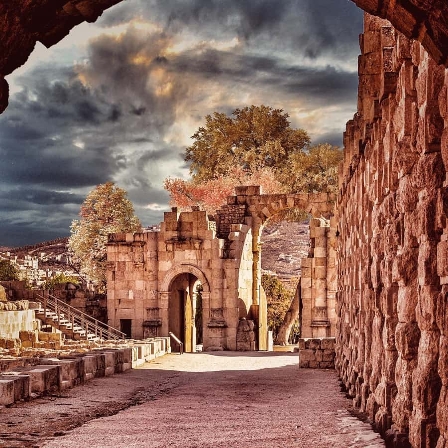 From Amman: Jerash &Ajloun &Um Qais Private Tour - Booking advice and small practical details