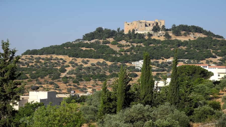 From Amman: Jerash and Ajloun Day Tour - Key points to know before you book