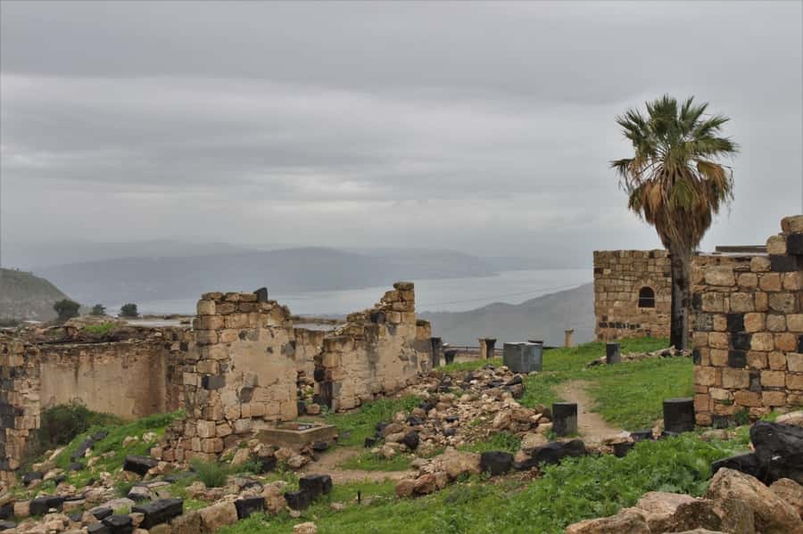 From Amman: Jerash, Umm Qais, and Jesus' Cave Private Trip - Key points at a glance