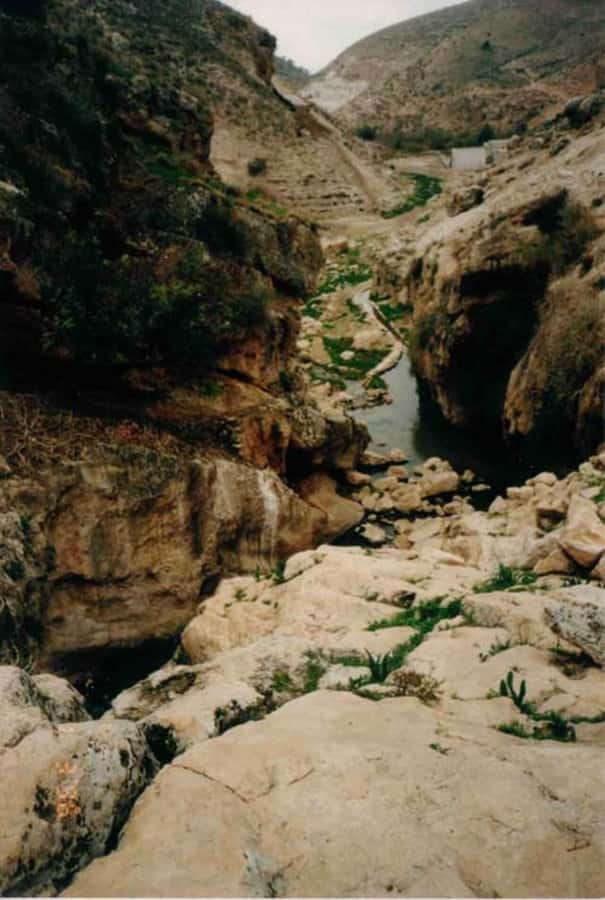 From Amman: Jerash, Umm Qais, and Jesus' Cave Private Trip - Lunch and the day’s pacing