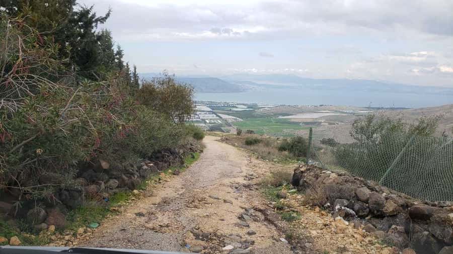 From Amman: Jerash, Umm Qais, and Jesus' Cave Private Trip - Is $87 a good value?