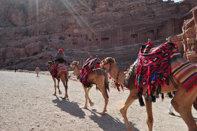 From Amman: one day tour to Petra - Seeing the Treasury and Petra’s carved city