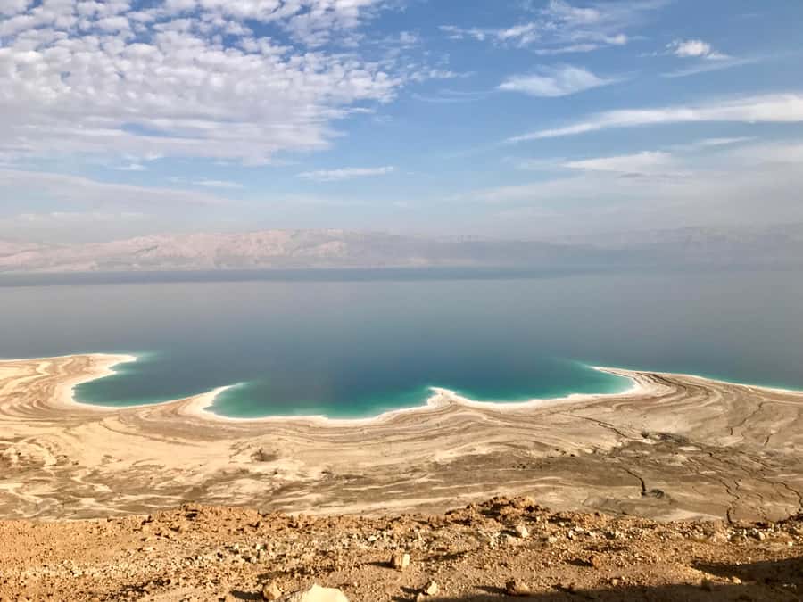 From Amman: Petra, Wadi Rum, and Dead Sea Private 2-Day Trip - The driver is a major part of the value