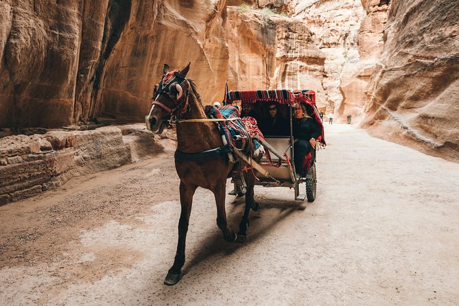 FROM AMMAN | Petra & Wadi Rum in one day | The Jordanian Mappers - What the private format changes