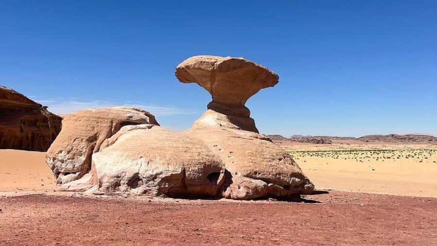From Amman: Petra & Wadi Rum Private or group Day Tour - Practical Advice for Making the Day Better