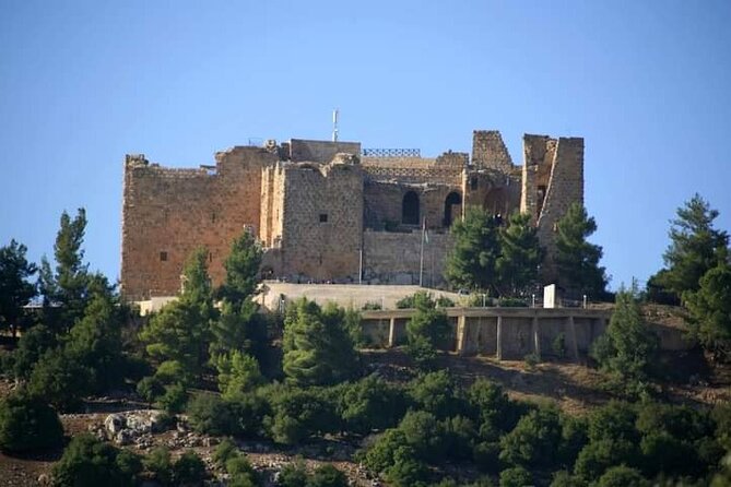 From Amman :Private day tour to Jerash and Ajloun - Ajloun Castle and a change of century