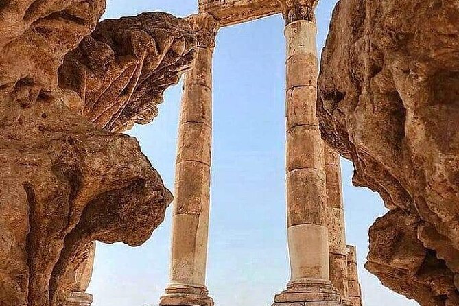 From Amman :Private day tour to Jerash and Ajloun - Wi-Fi, water, and the small comforts